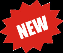 GAF - Organigramme Définitif V2 Finale Départementale - 18 et 19 mai à Guyancourt GAF - Organigramme Définitif V2 Finale Départementale - 18 et 19 mai à Guyancourt