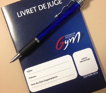 RECHERCHE JUGE N3 - Dimanche 26 janvier à Montigny RECHERCHE JUGE N3 - Dimanche 26 janvier à Montigny