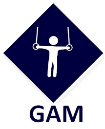 GAM - Compétition départementale Equipe 78-92 à Puteaux le 8 février 2026