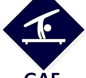 GAF - Organigramme Provisoire Equipe FED B - 29 et 30 Mars à Carrières-sous-Poissy