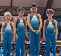 GAM: Organigramme Départemental Performance Individuels et Equipes à Villepreux le 12 Janvier