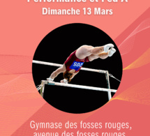 GAF : Organigramme Définitif Individuelles : Le Dimanche 13 Mars à Limay