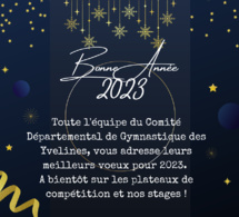 MEILLEURS VOEUX
