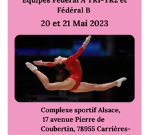 GAF - Organigramme provisoire Finale Départementale 20-21 mai à Carrières-sous-Poissy
