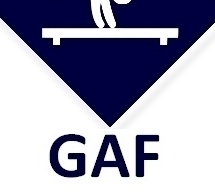 GAF - Organigramme Définitif - GAF FED B-TID / Carrières 29 et 30 Mars 2025