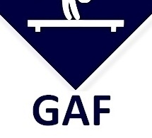 GAF - Organigramme Provisoire Finale Départementale Equipes FED B-TID-TR1-TR2 / 03 et 04 mai 2025 aux Mureaux