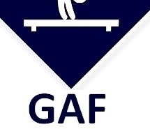 CDY GAF - Plan d'action GAF 2025-2026